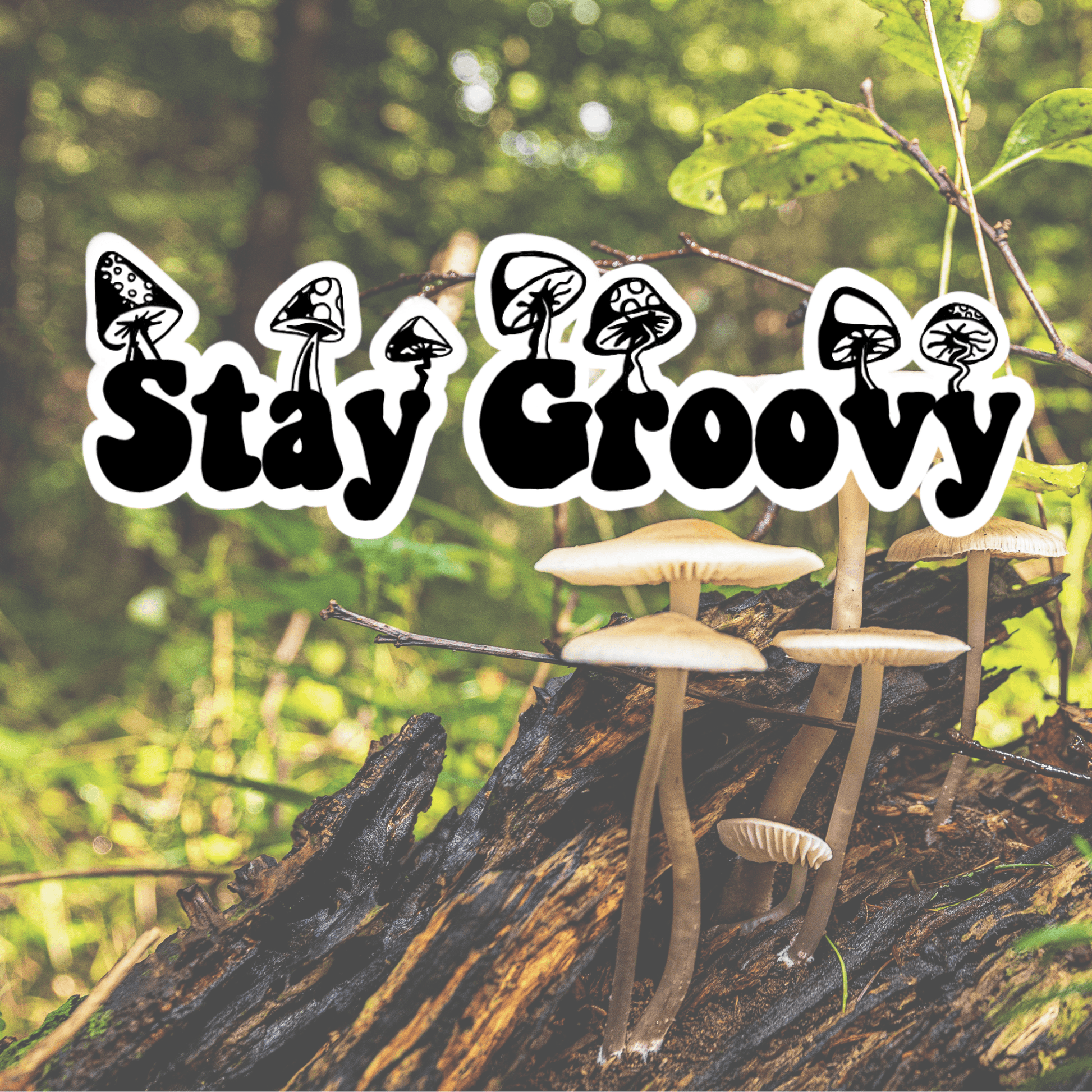 Stay Groovy Sticker - Green Forest Furniture and Design