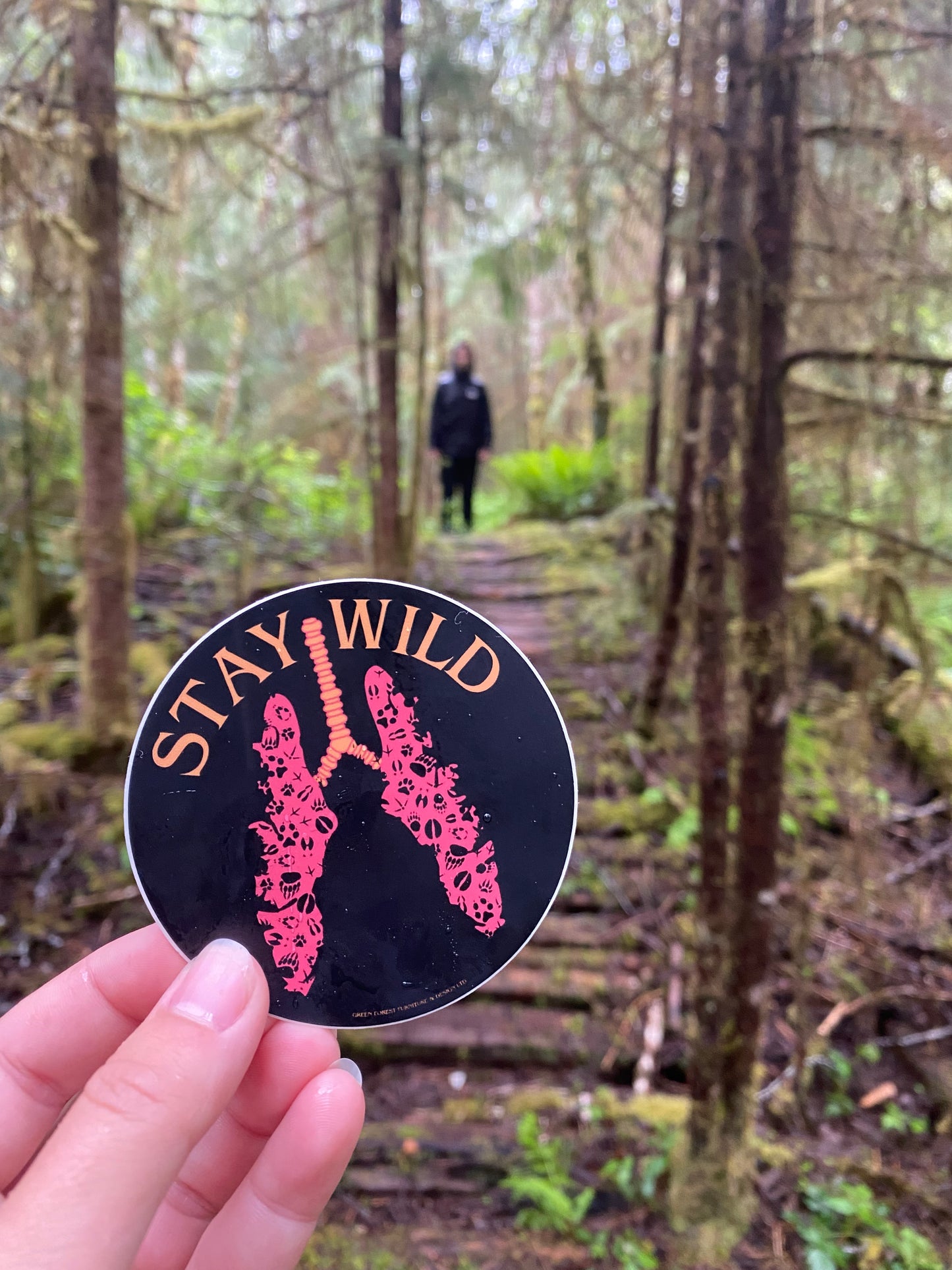 Stay Wild Circle Sticker