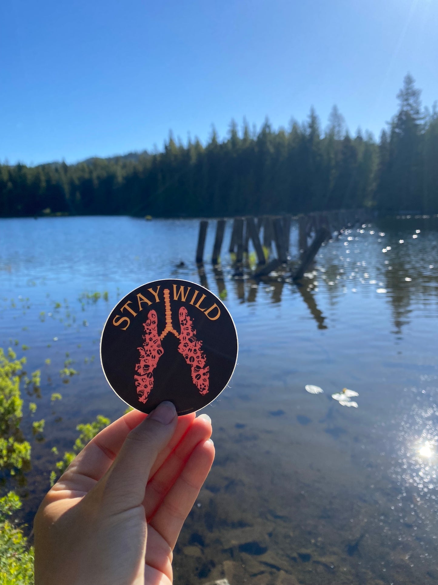 Stay Wild Circle Sticker